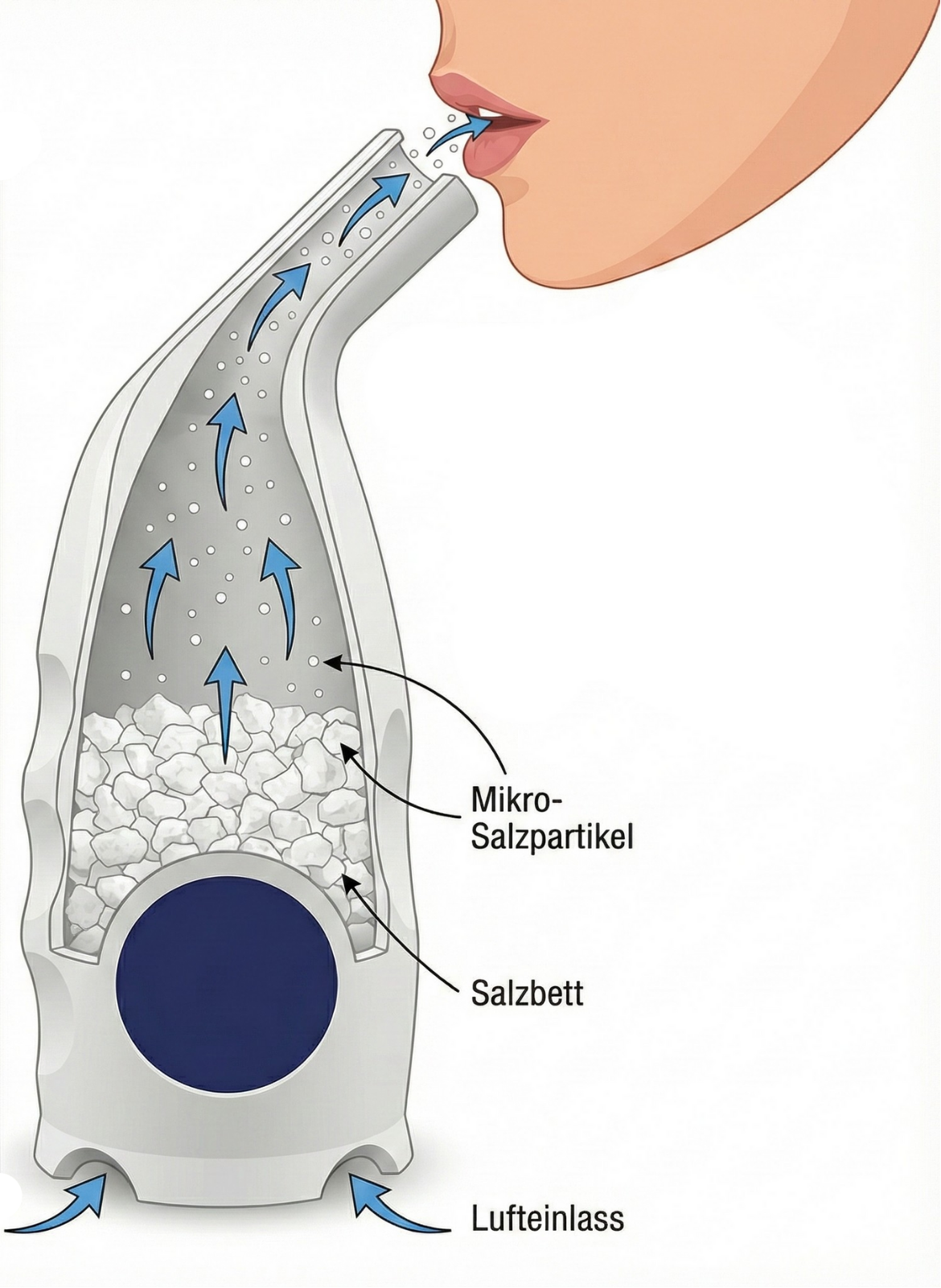 Die Luft strömt durch den Einlass in das Salzbett. Mikrosalzpartikel werden aufgenommen und eingeatmet